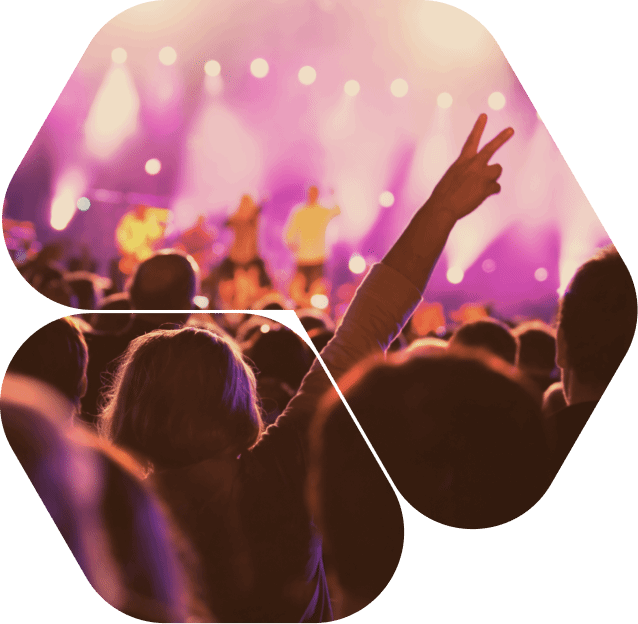 Concert Crowd Enjoying a Live Performance