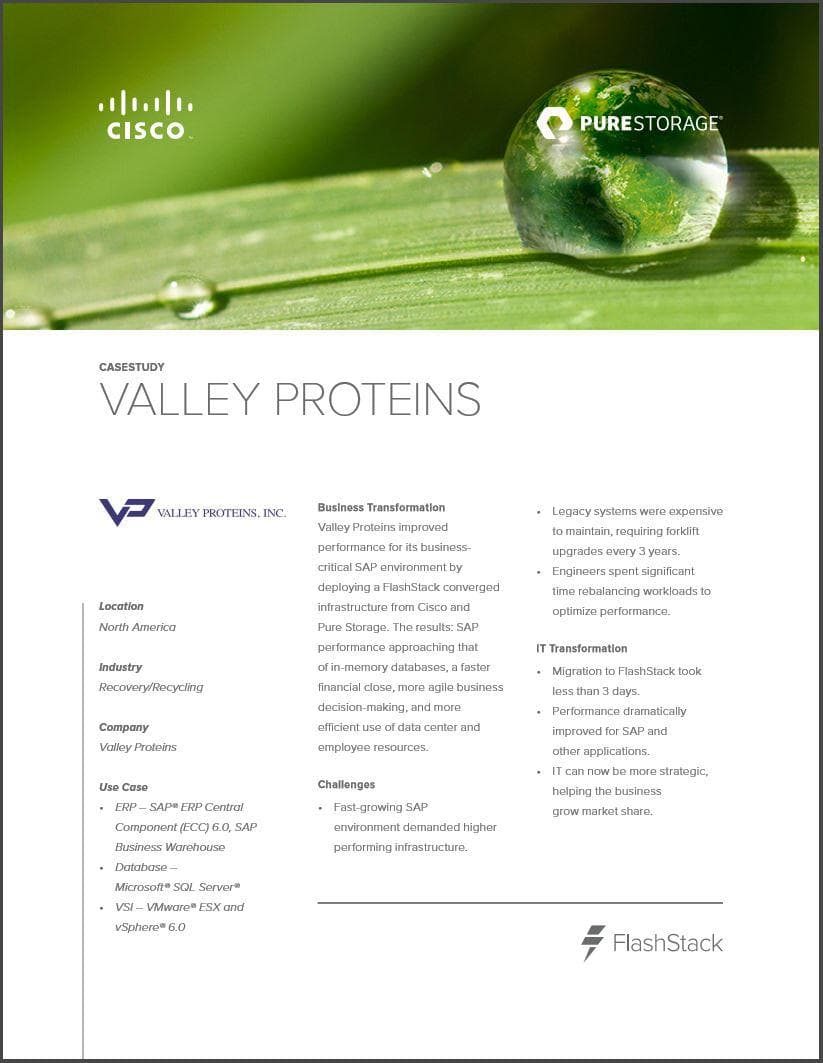 Valley Proteins Case Study