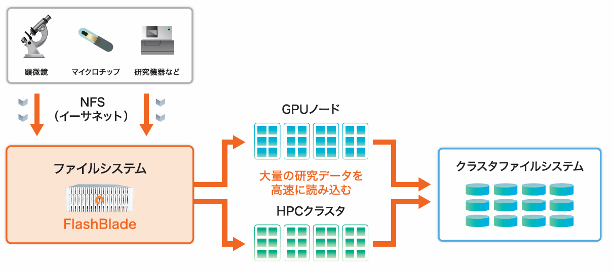 OISTにおけるPure Storage FlashBlade導入の概要 - イメージ図