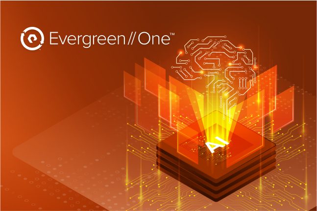 Brochure displayed at an angle featuring descriptive text and a vibrant pyramid chart