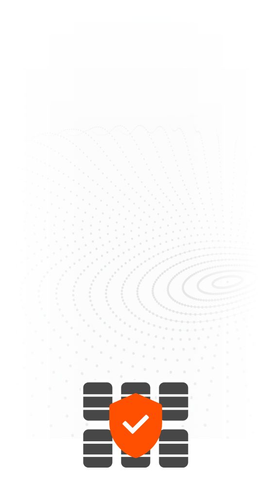 Data Protection Shield Icon