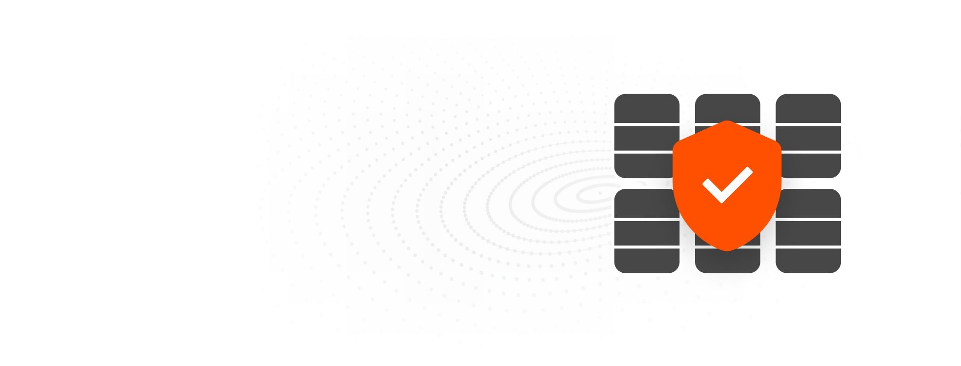 Data Security Shield Icon