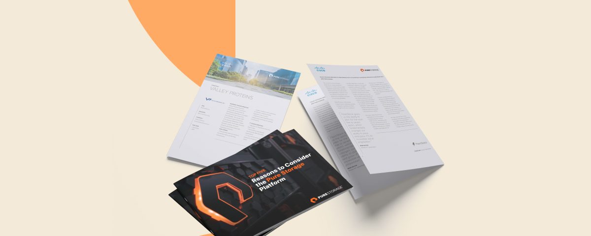 Contents of a package including papers and a pouch on a orange backdrop