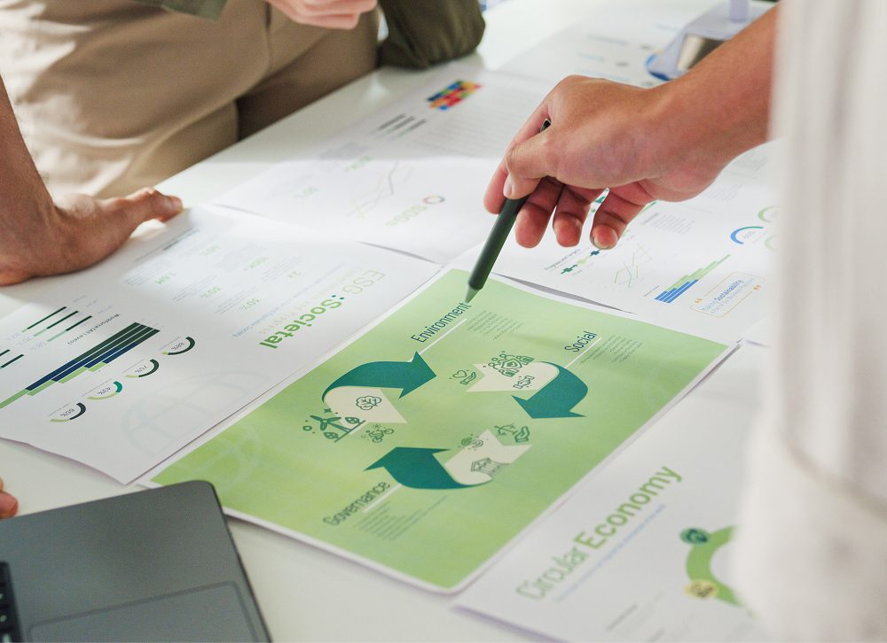 Team Discussion on Sustainability Strategies with Visual Data